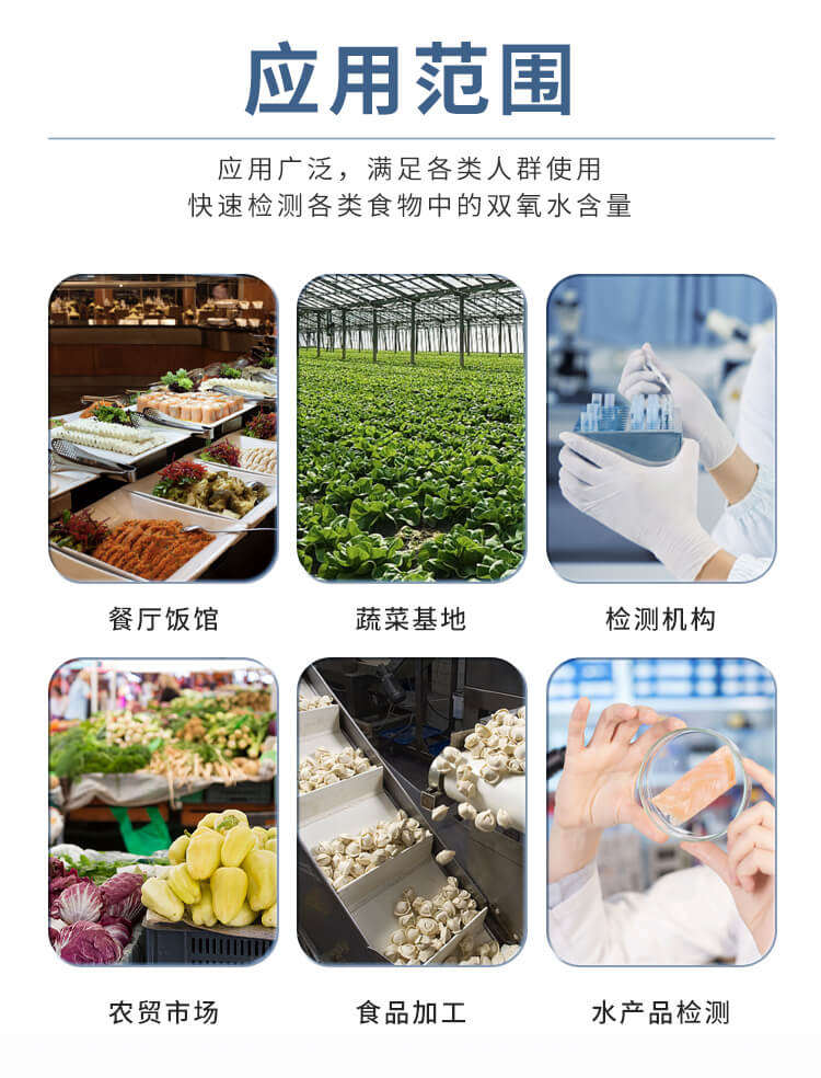雙氧水檢測儀