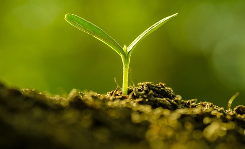 為避免誤導(dǎo)用戶，便攜式土壤水分速測(cè)儀使用需注意