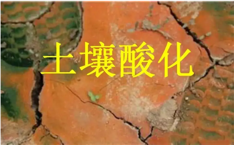 識別土壤“病”，土壤測試儀器是如何提高土壤免疫力的？