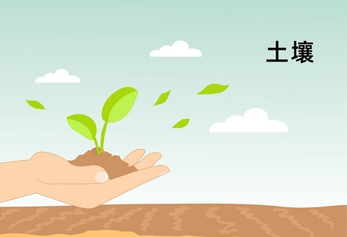 土壤墑情監(jiān)測系統(tǒng)在精細農(nóng)業(yè)發(fā)展中扮演著什么角色？