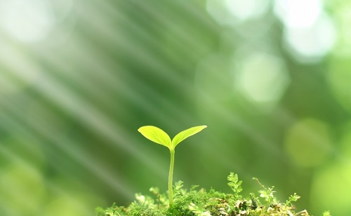 推廣測土配方施肥技術(shù)的有哪些好處？