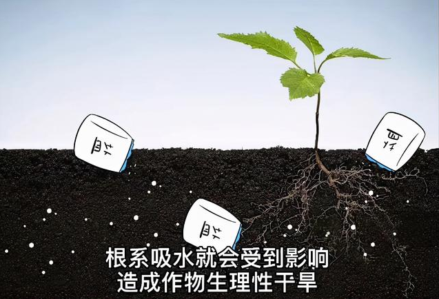 土壤EC值和pH值與作物生長的關(guān)系，利用土壤鹽分儀緩解土壤鹽漬化