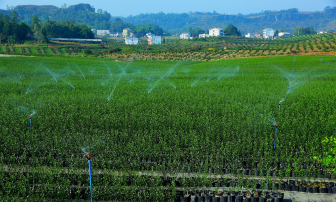 利用土壤水分測(cè)定儀實(shí)現(xiàn)精準(zhǔn)灌溉，按需灌溉