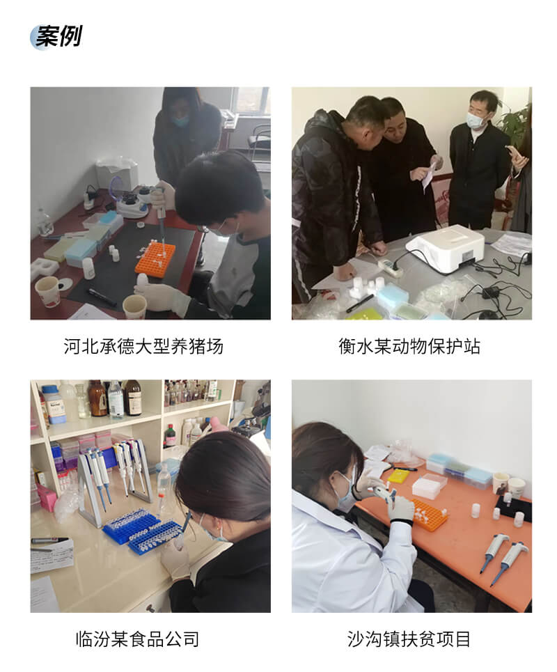 PCR檢測儀